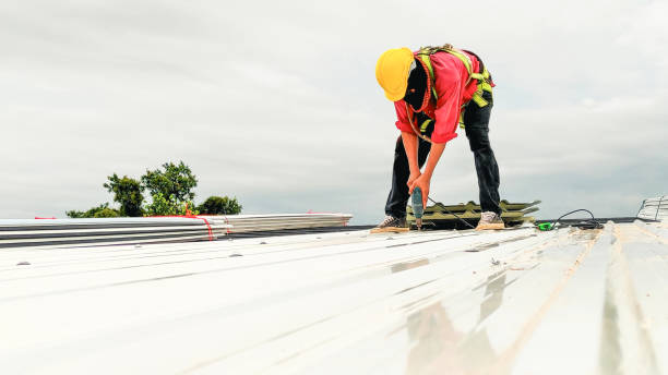 Best Gutter Installation and Repair  in La Harpe, IL